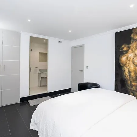 Luxurious Nicoangelo
